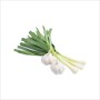 Green or Spring Garlic (हरियो लसुन )- per Kg