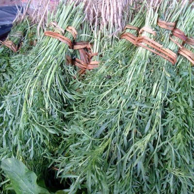 Chamsur-Saag (Garden Cress) per Bunch